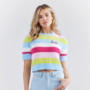 Wrangler Multicolor Striped Crew Neck Sweater